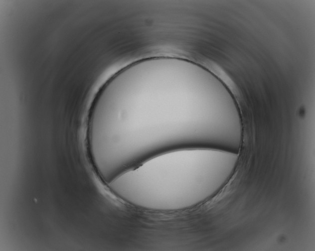 X0000102471144200808081003