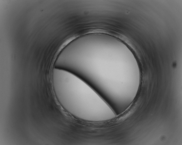 X0000102471145200808081003