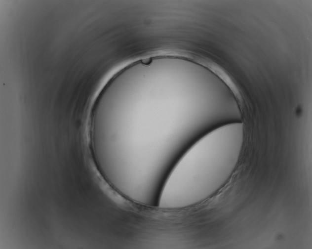X0000102471148200808081003