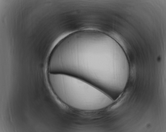 X0000102471149200808081003