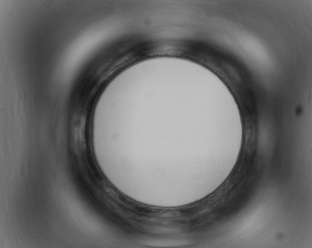 X0000102471150200808081003
