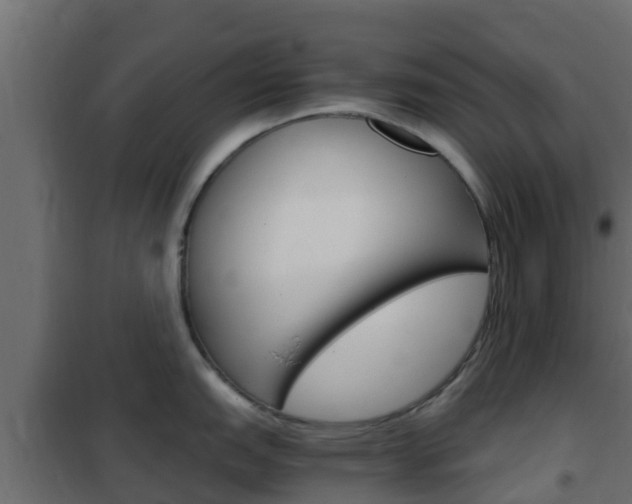 X0000102471151200808081003