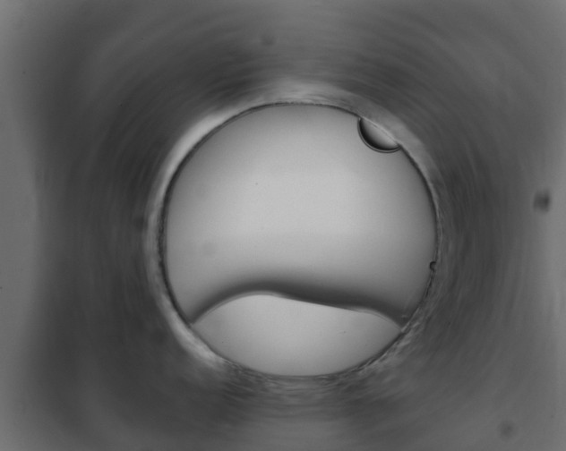X0000102471152200808081003
