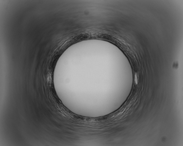 X0000102471155200808081002