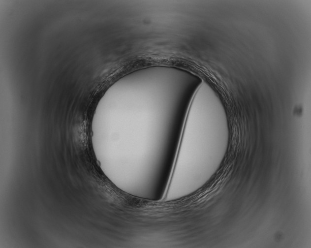 X0000102471156200808081002