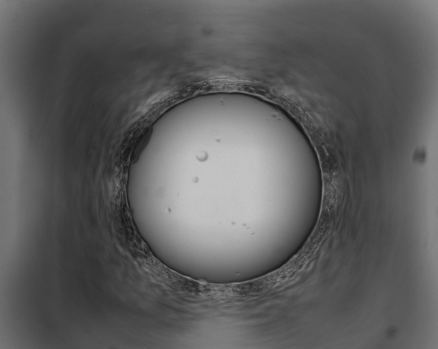 X0000102471157200808081002