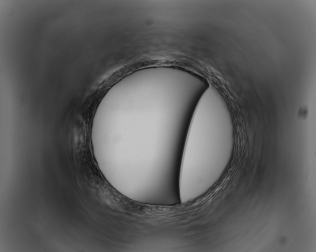 X0000102471158200808081002