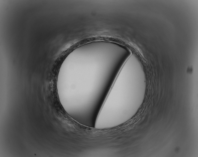 X0000102471159200808081002