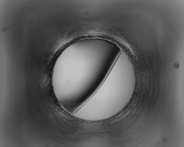 X0000102471160200808081002