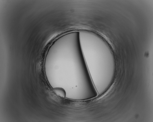 X0000102471163200808081002