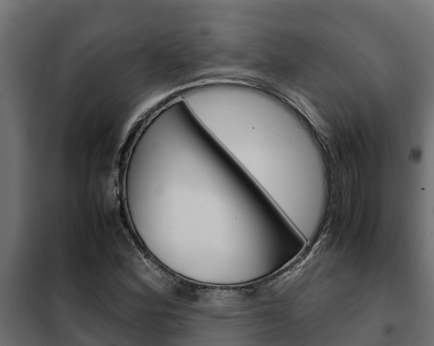 X0000102471164200808081002