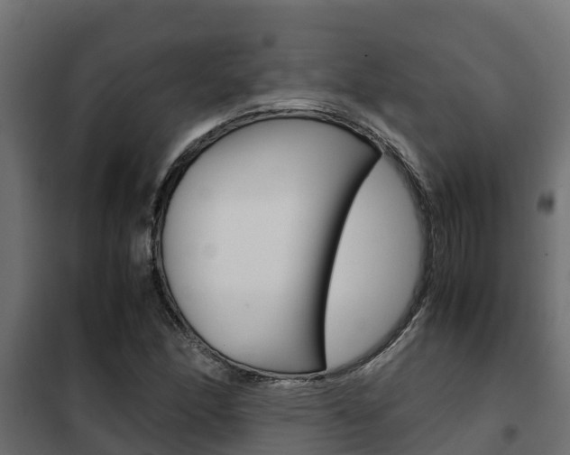 X0000102471166200808081002