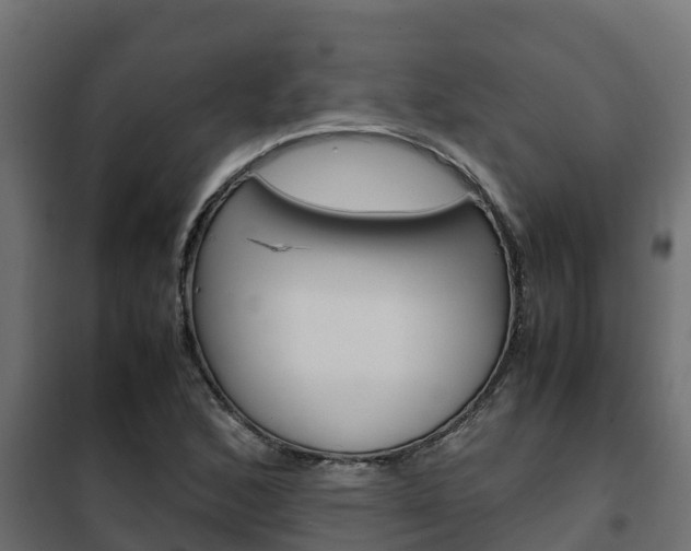 X0000102471168200808081002