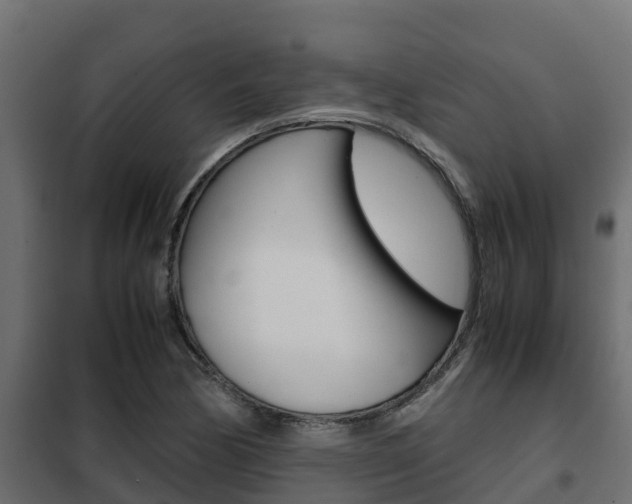 X0000102471170200808081002