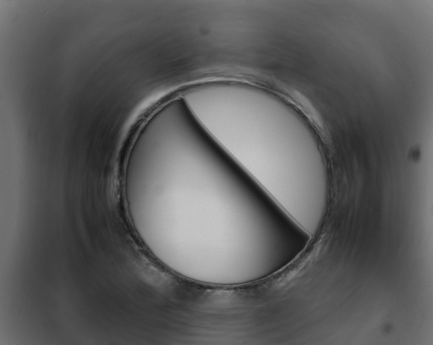 X0000102471172200808081002