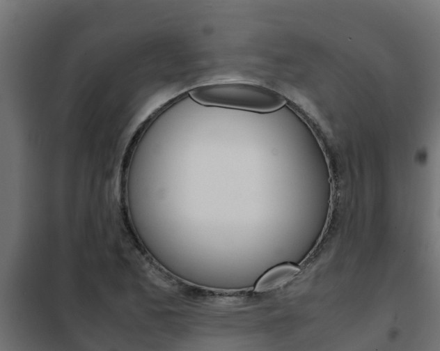 X0000102471173200808081002