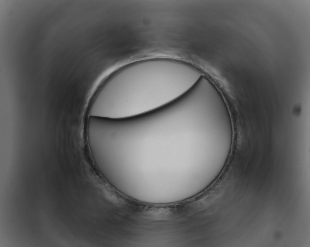 X0000102471174200808081002
