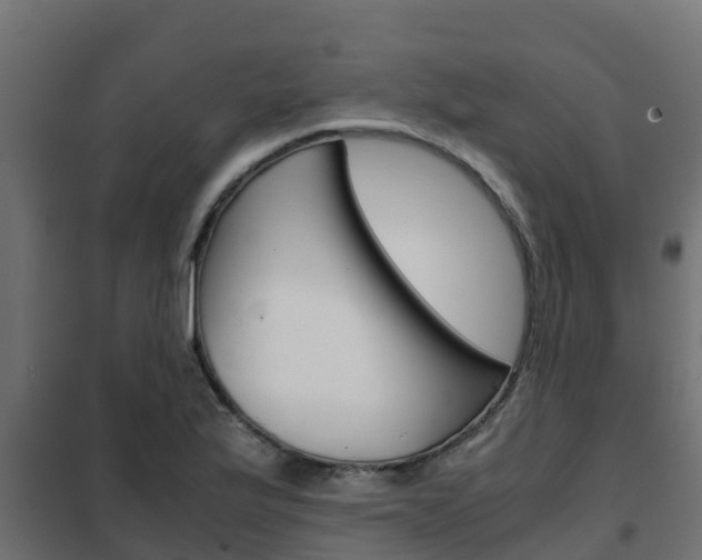 X0000102471175200808081002