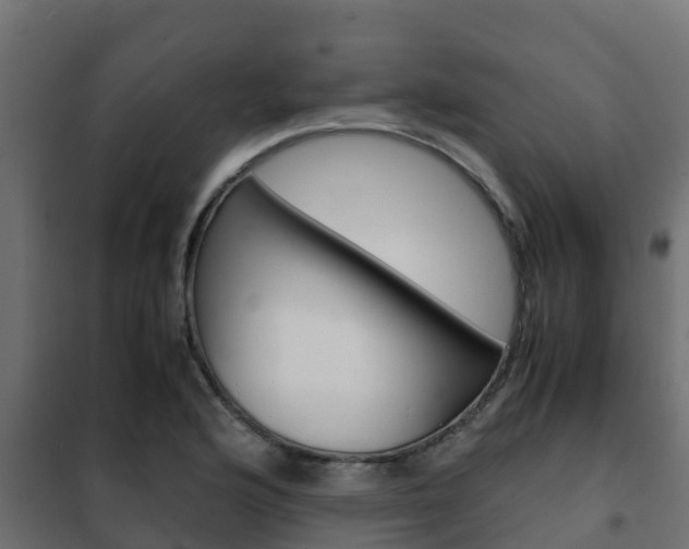 X0000102471176200808081002