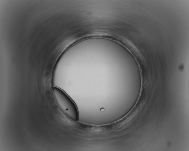 X0000102471177200808081002