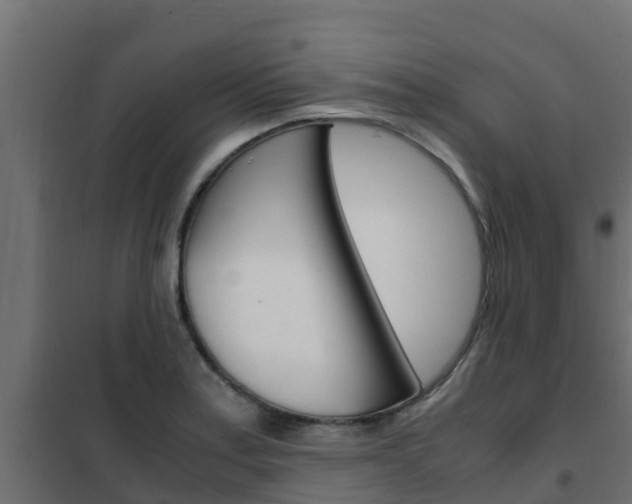 X0000102471179200808081002
