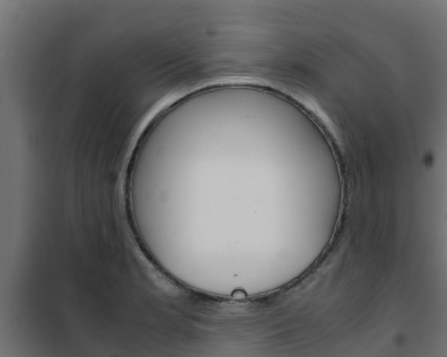 X0000102471181200808081002