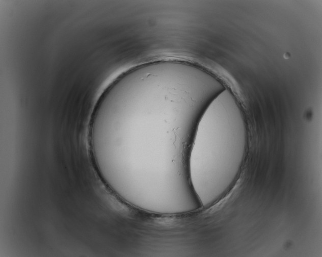 X0000102471182200808081002