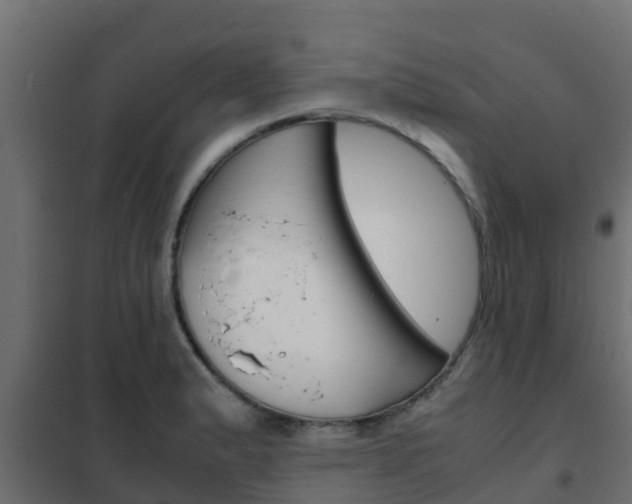 X0000102471183200808081002