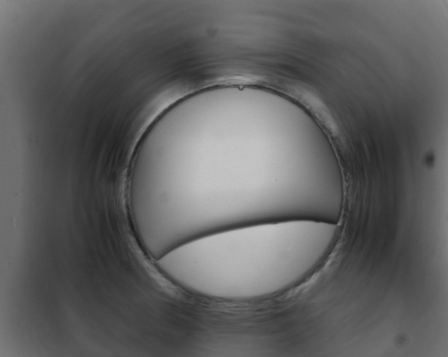X0000102471186200808081002