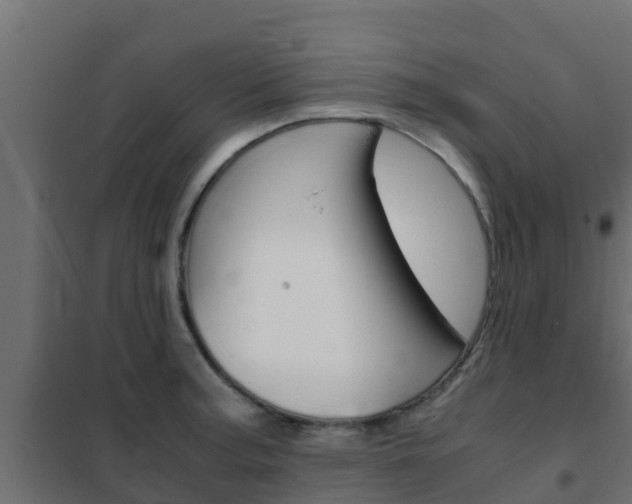 X0000102471187200808081002