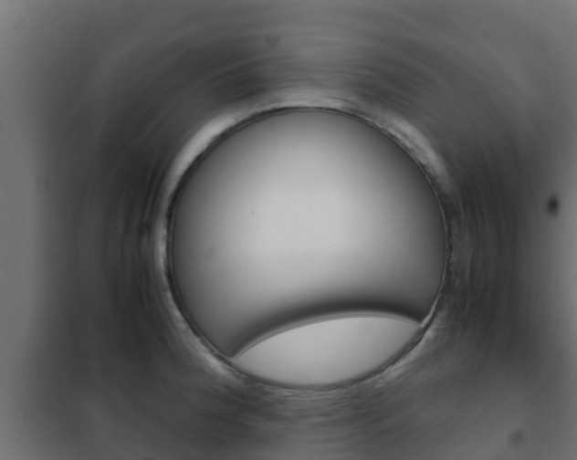 X0000102471188200808081002