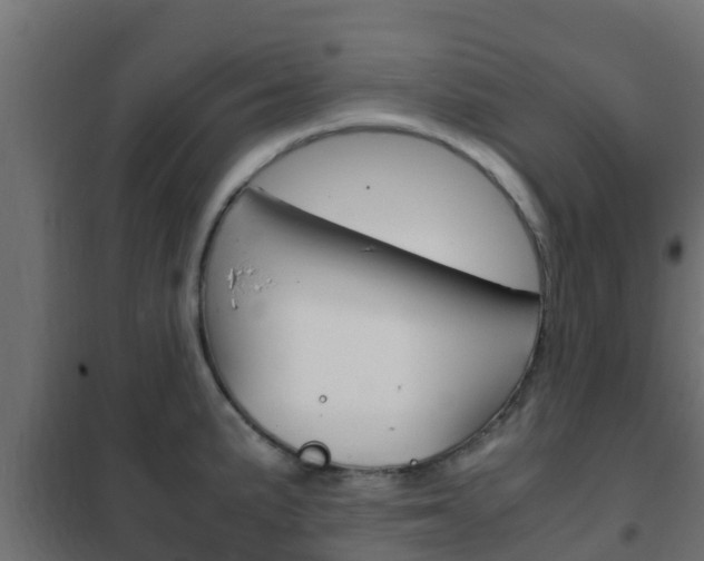X0000102471191200808081002