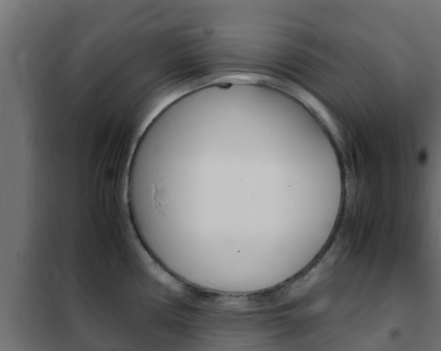 X0000102471194200808081002