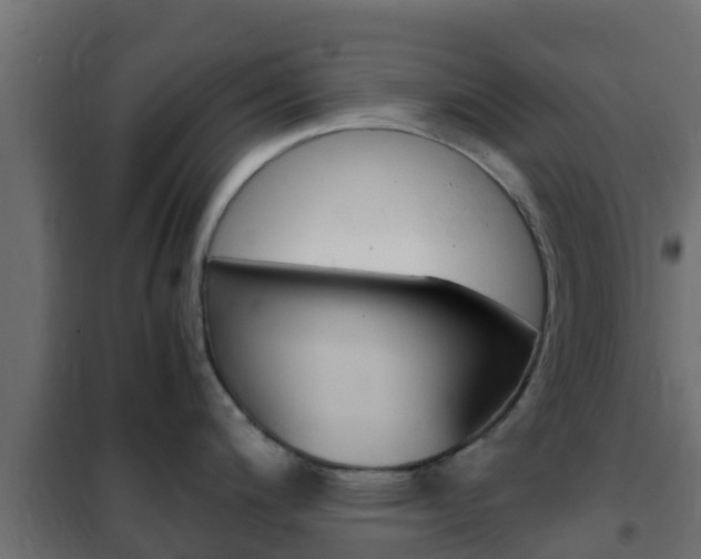 X0000102471200200808081002