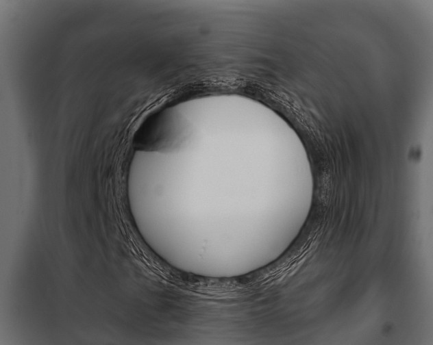 X0000102471201200808081001