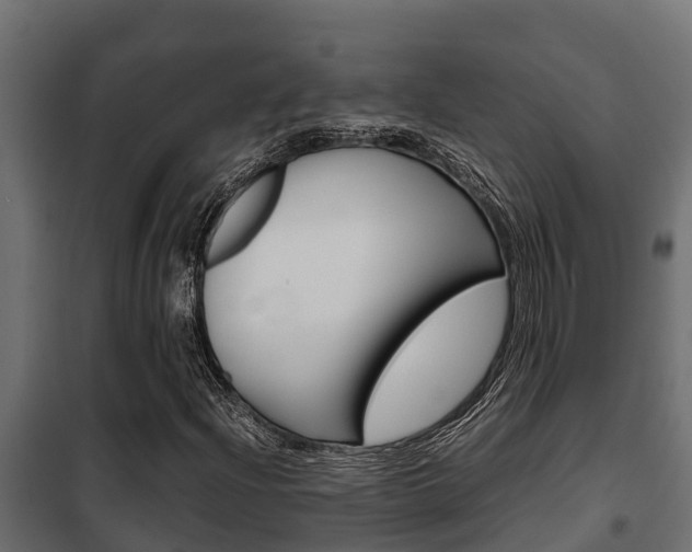 X0000102471204200808081001