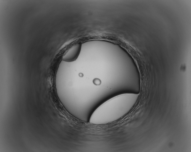 X0000102471206200808081001