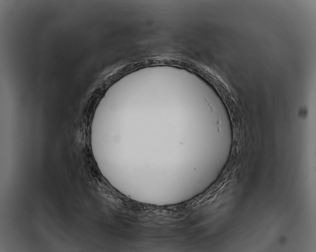 X0000102471207200808081001