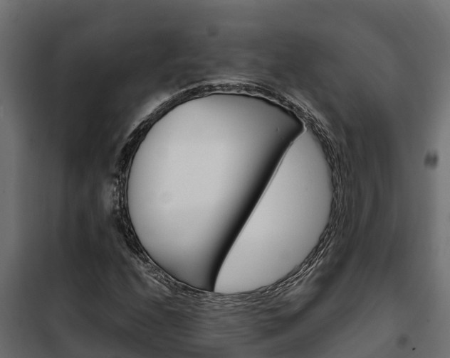 X0000102471208200808081001