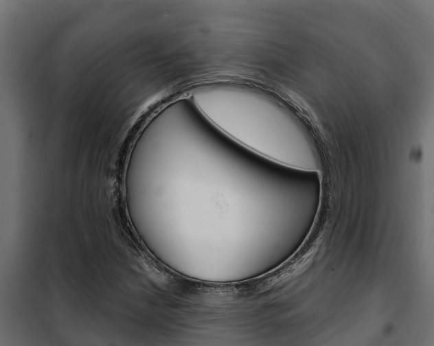 X0000102471210200808081001