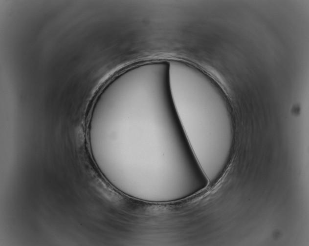 X0000102471212200808081001