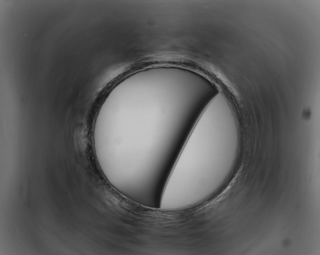 X0000102471213200808081001