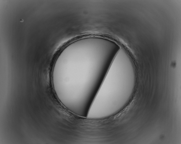 X0000102471214200808081001