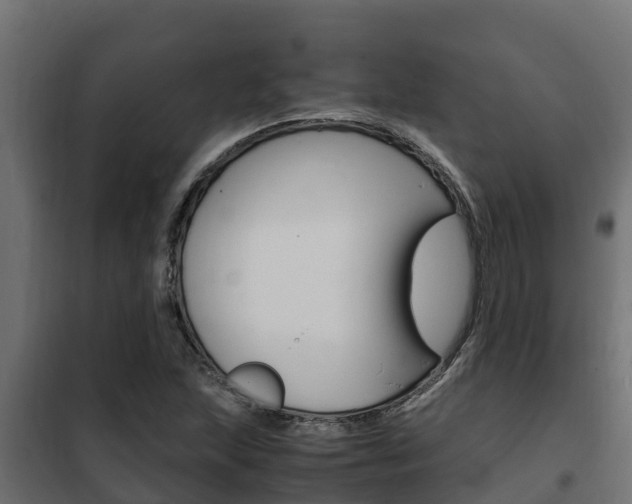 X0000102471215200808081001