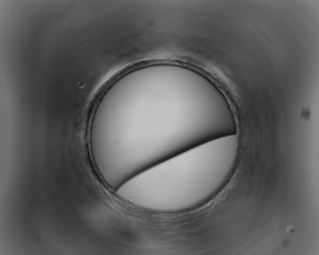 X0000102471216200808081001