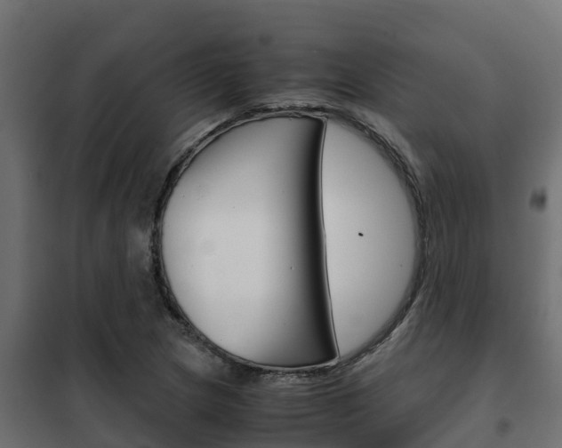 X0000102471217200808081001