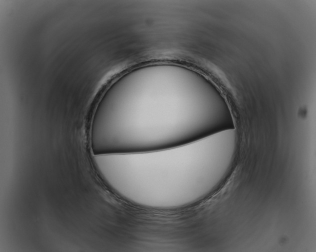 X0000102471218200808081001