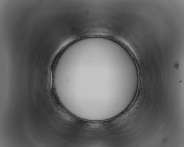 X0000102471219200808081001