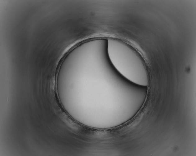 X0000102471220200808081001