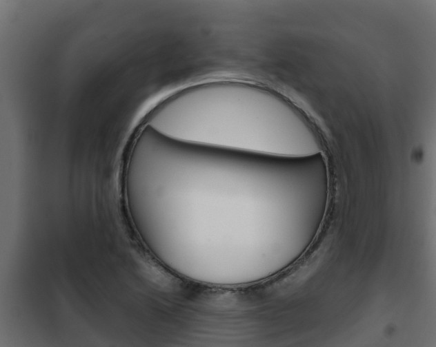 X0000102471222200808081001